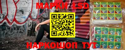 индика Новодвинск