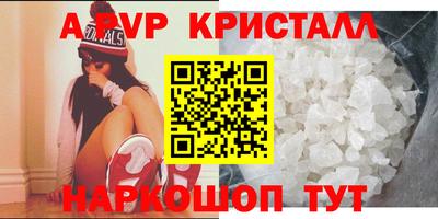 индика Новодвинск