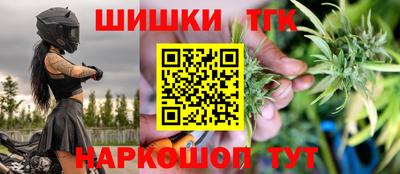 индика Новодвинск