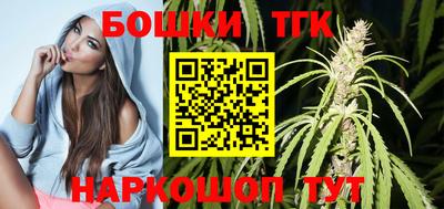индика Новодвинск