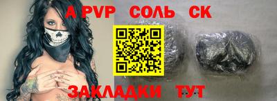 индика Новодвинск