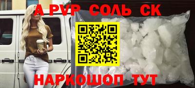 индика Новодвинск