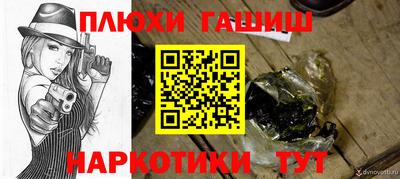 индика Новодвинск