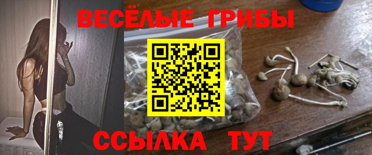 наркотики  Вход с VPN  Самара  Галлюциногенные грибы Cubensis  Галлюциногенные грибы Magic Shrooms 